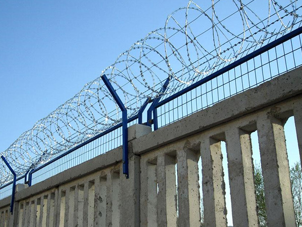 刺絲滾籠圖片3 刺絲滾籠圖片3