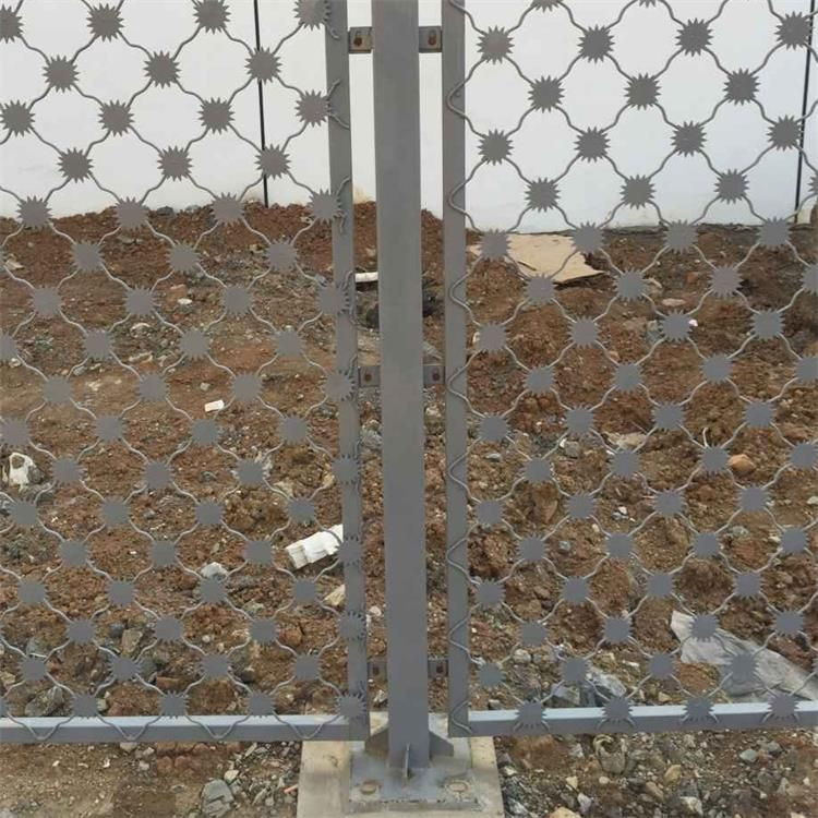 梅花刺防沖隔離網的規格及安裝案例展示圖片3 梅花刺防沖隔離網的規格及安裝案例展示圖片3