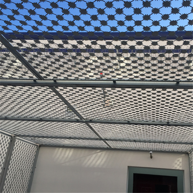 梅花刺隔離網案例展示圖片3 梅花刺隔離網案例展示圖片3