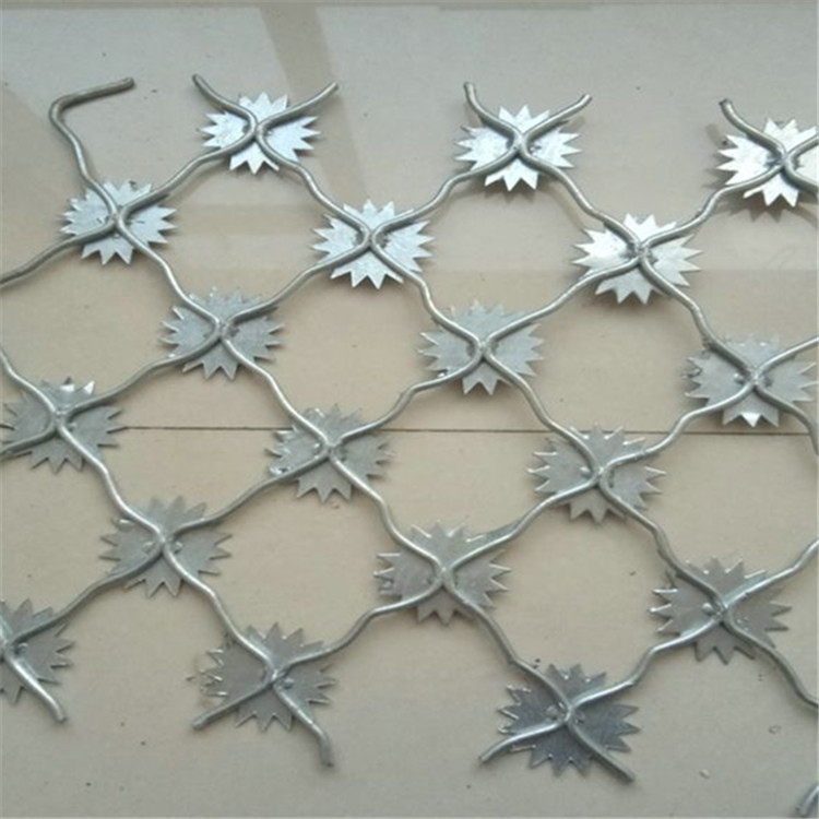 梅花刺隔離網案例展示圖片4 梅花刺隔離網案例展示圖片4