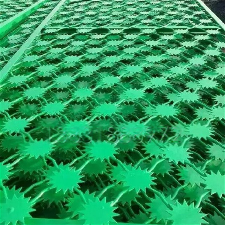 梅花刺隔離網(wǎng)案例展示圖片2 梅花刺隔離網(wǎng)案例展示圖片2