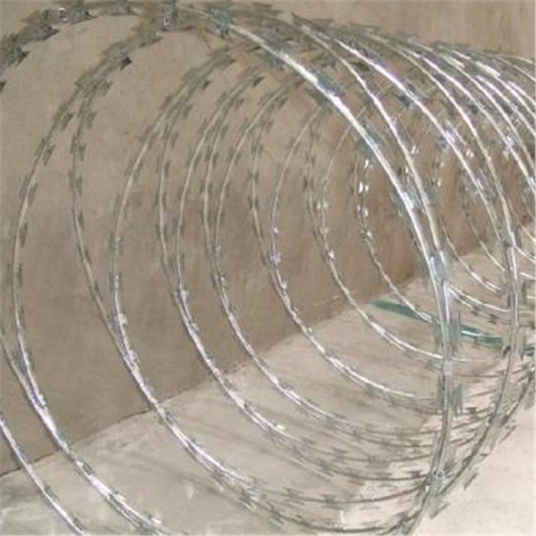 刀刺網(wǎng)案例展示圖片4 刀刺網(wǎng)案例展示圖片4