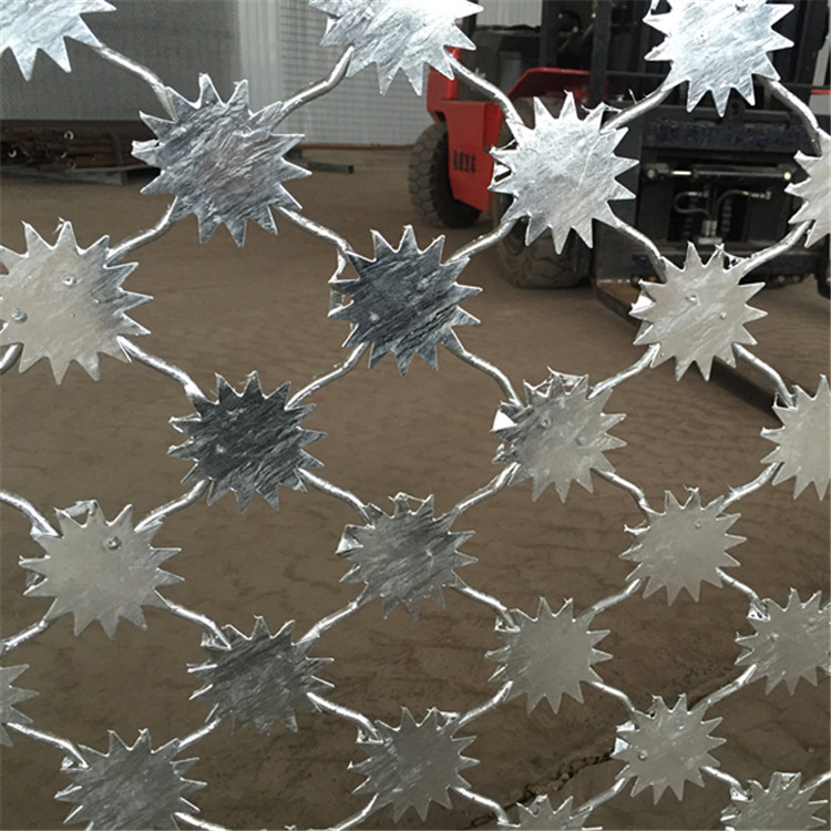 梅花刺隔離網(wǎng)案例展示圖片2 梅花刺隔離網(wǎng)案例展示圖片2